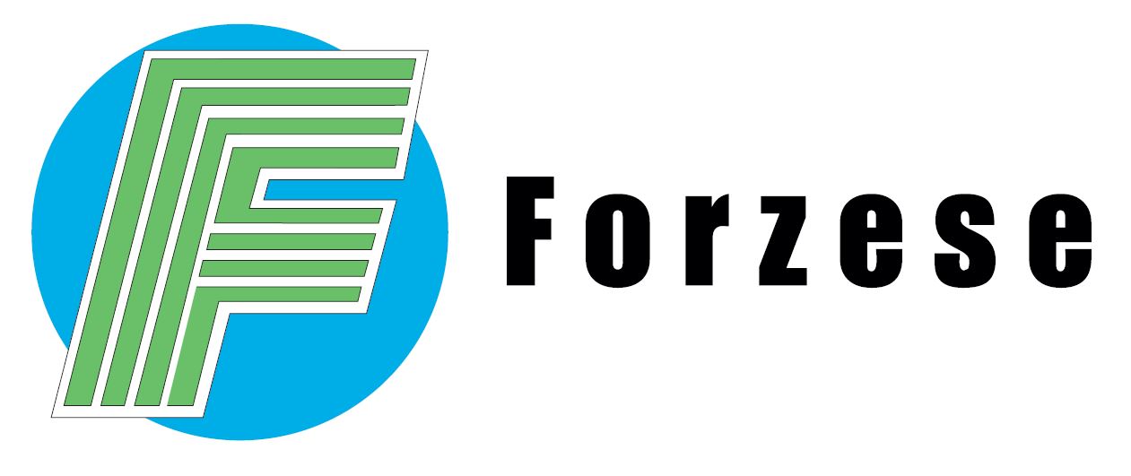 FORZESE S.r.l.