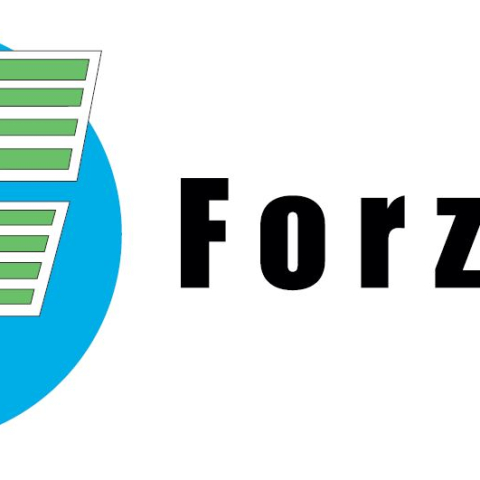 FORZESE S.r.l.