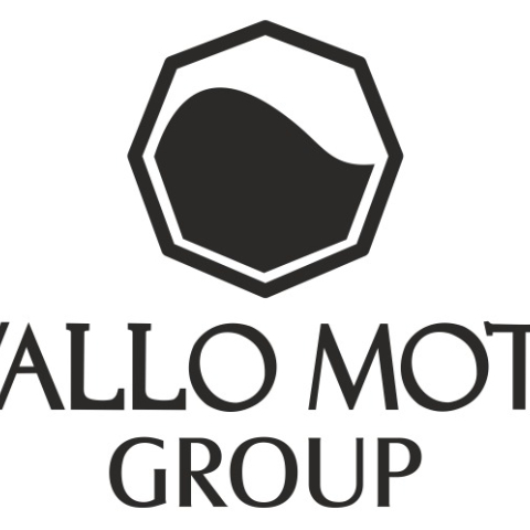 CAVALLO MOTORI GROUP SRL